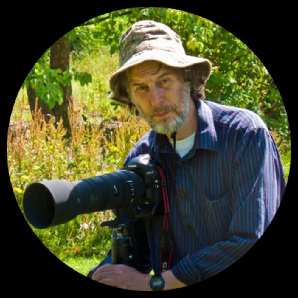 Ron Thomas