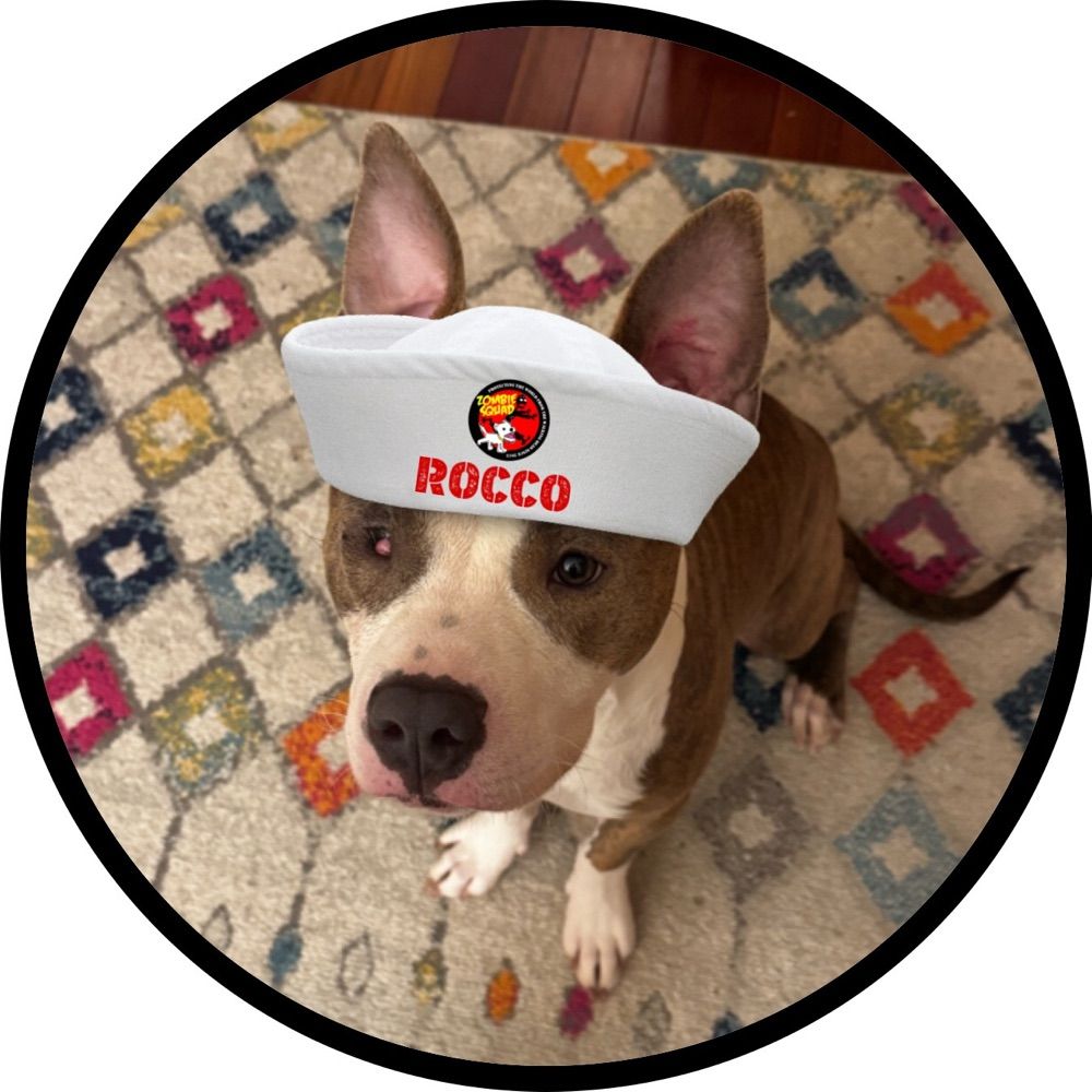 Really Rocco? (Pvt #ZSHQ)