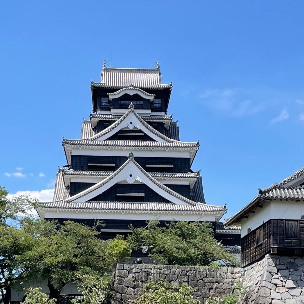 ぎんなん