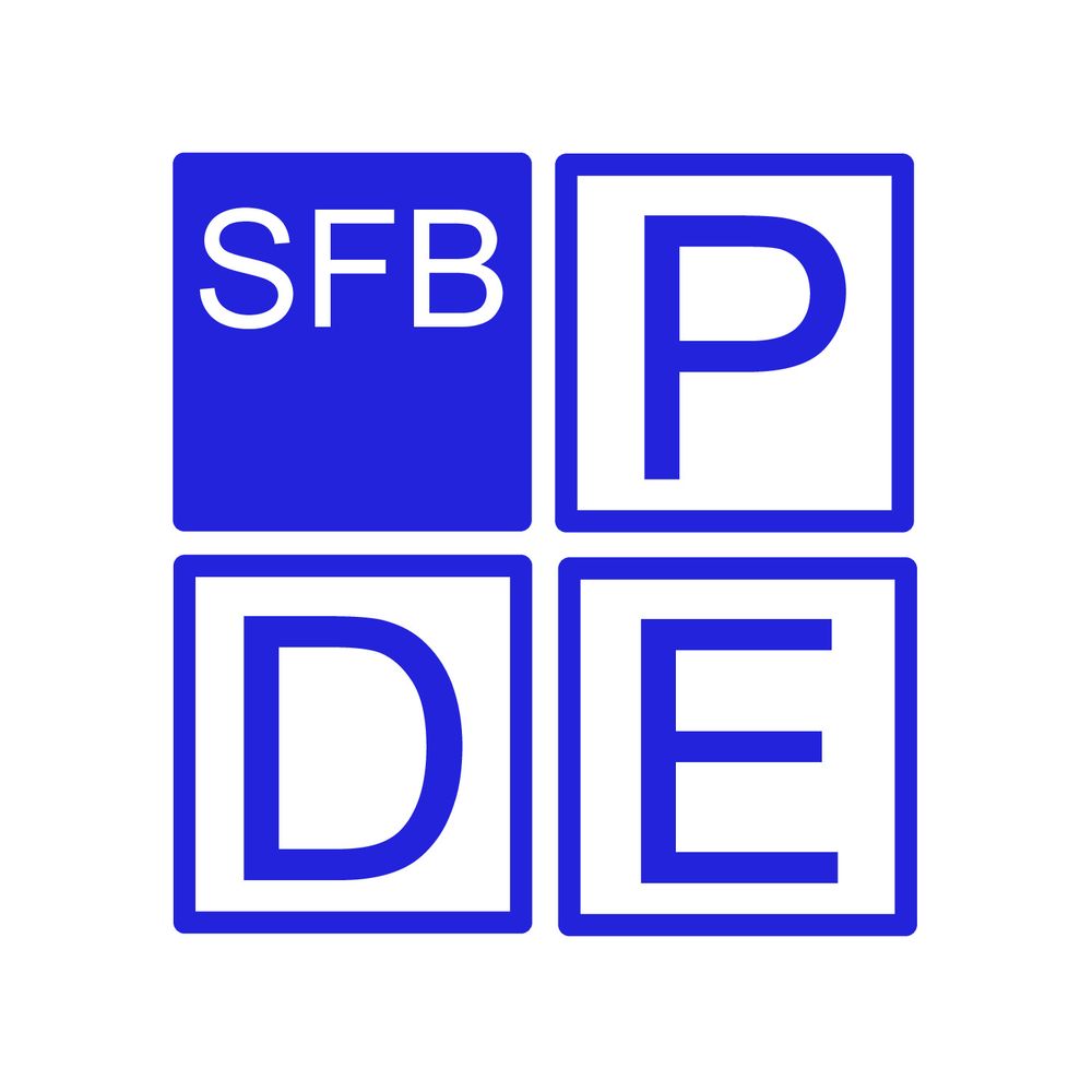 SFB 65 "Taming Complexity in Partial Differential Systems"