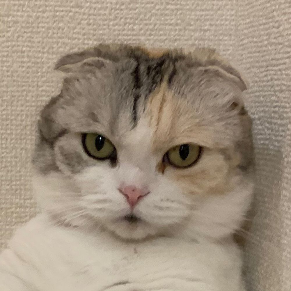 ゆきたろう
