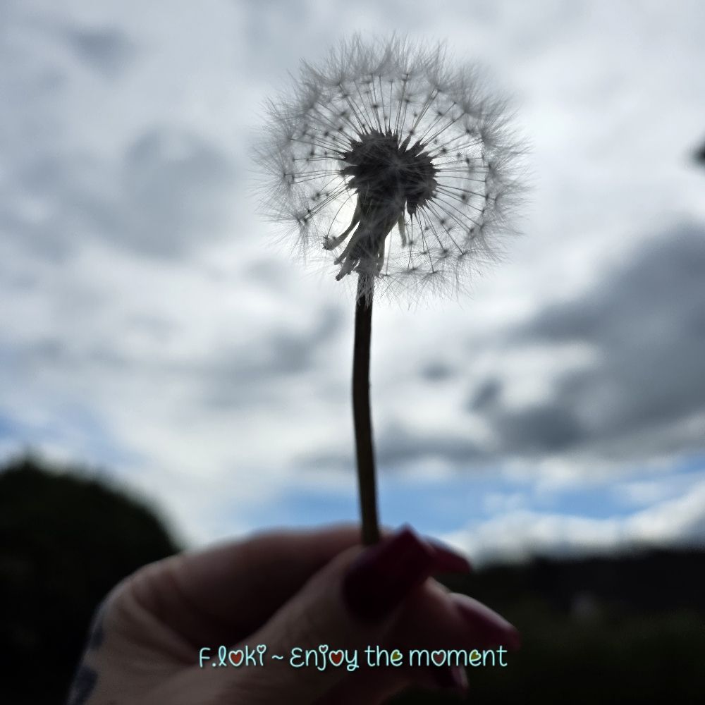 F.loki ~ Life is beautiful