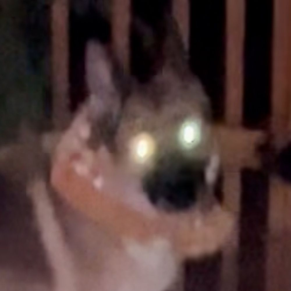 Mean Pete