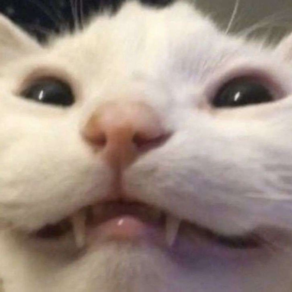 CynicalEdge