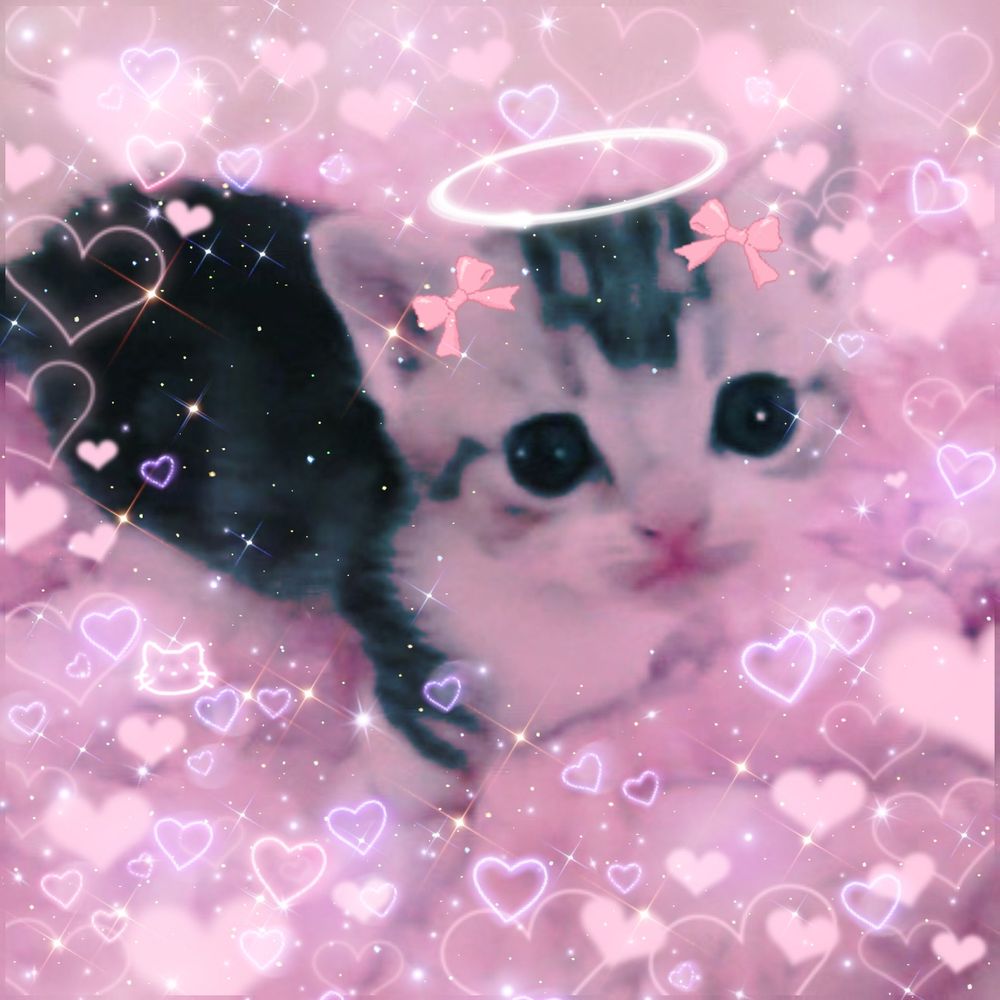 ✿babyangelkitten✿