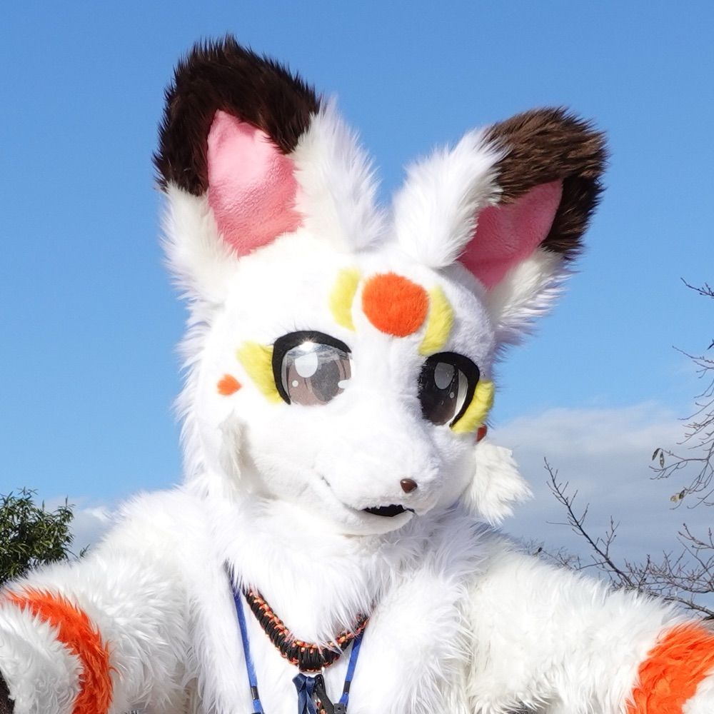 Reo／太稲狐🦊