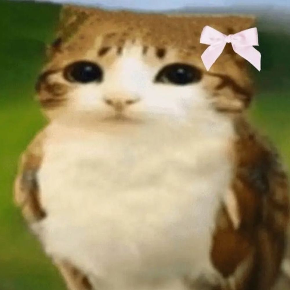 《⋆.༘⋆˚⋮🌻{Madzowl!!}🦉‧₊˚.𝄞》