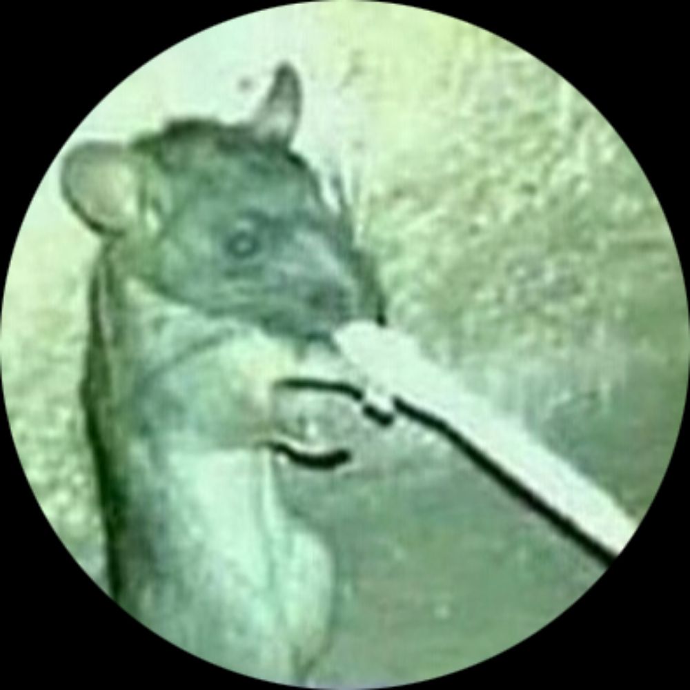 Wild 🚬🐀