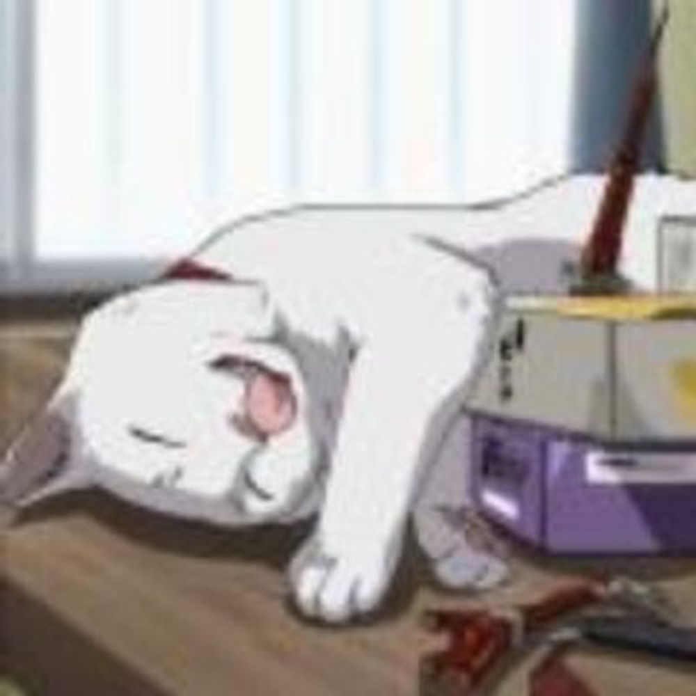 oh my meow