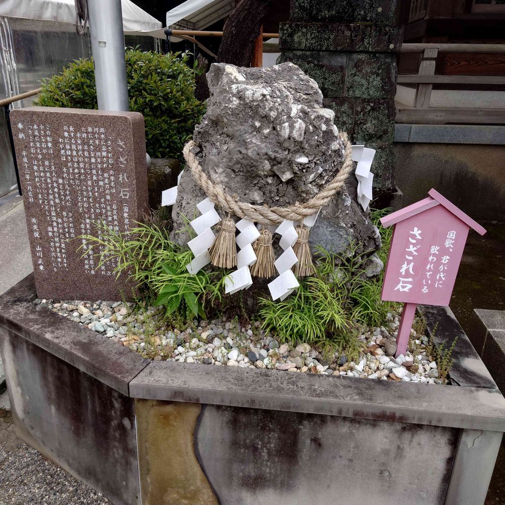 ミヤコ　福岡裏垢