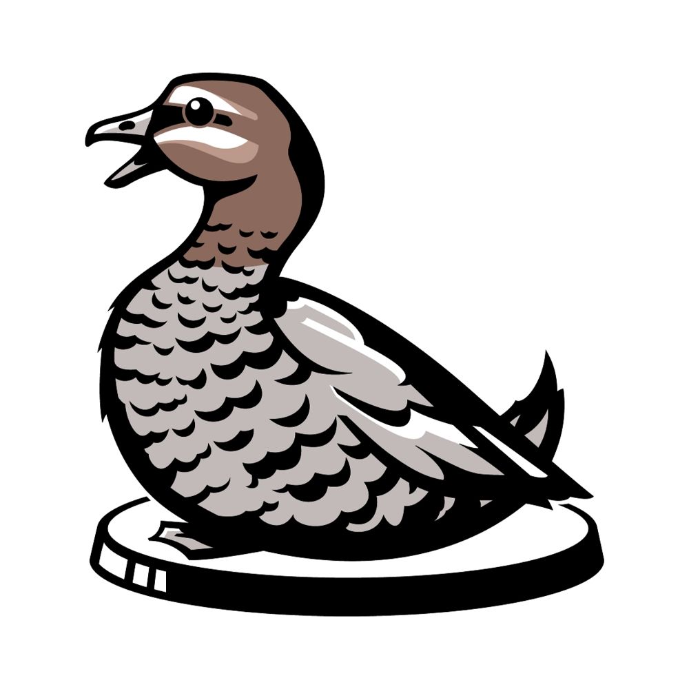 Studio Wood Duck