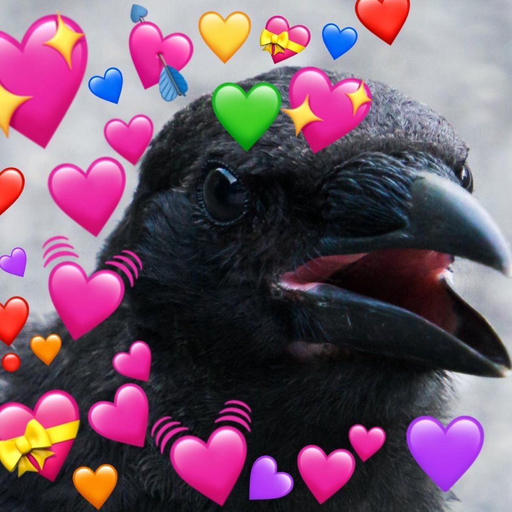 Corvid
