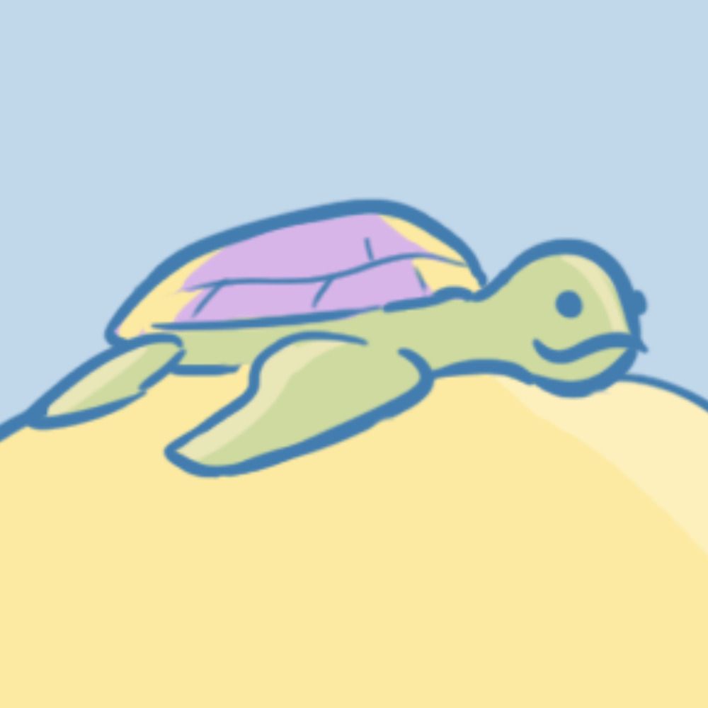 shelterered turtle🐢
