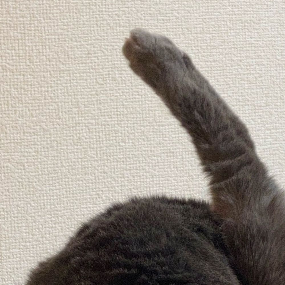 塩蔵