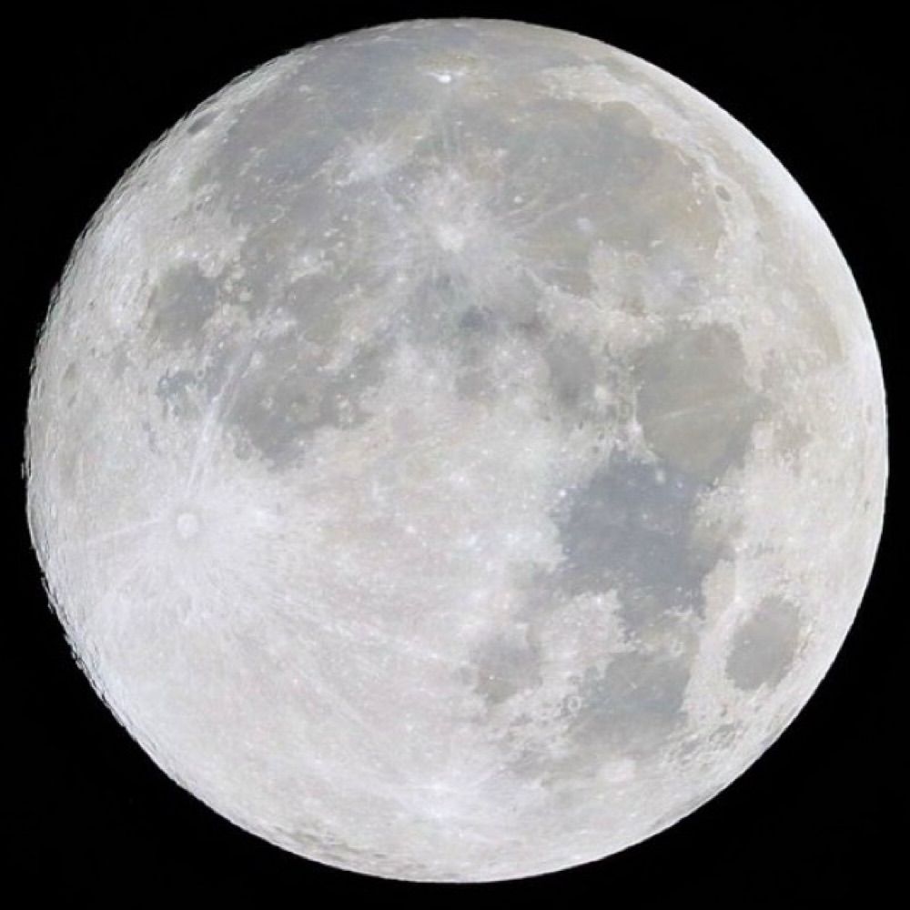 Moon Papi