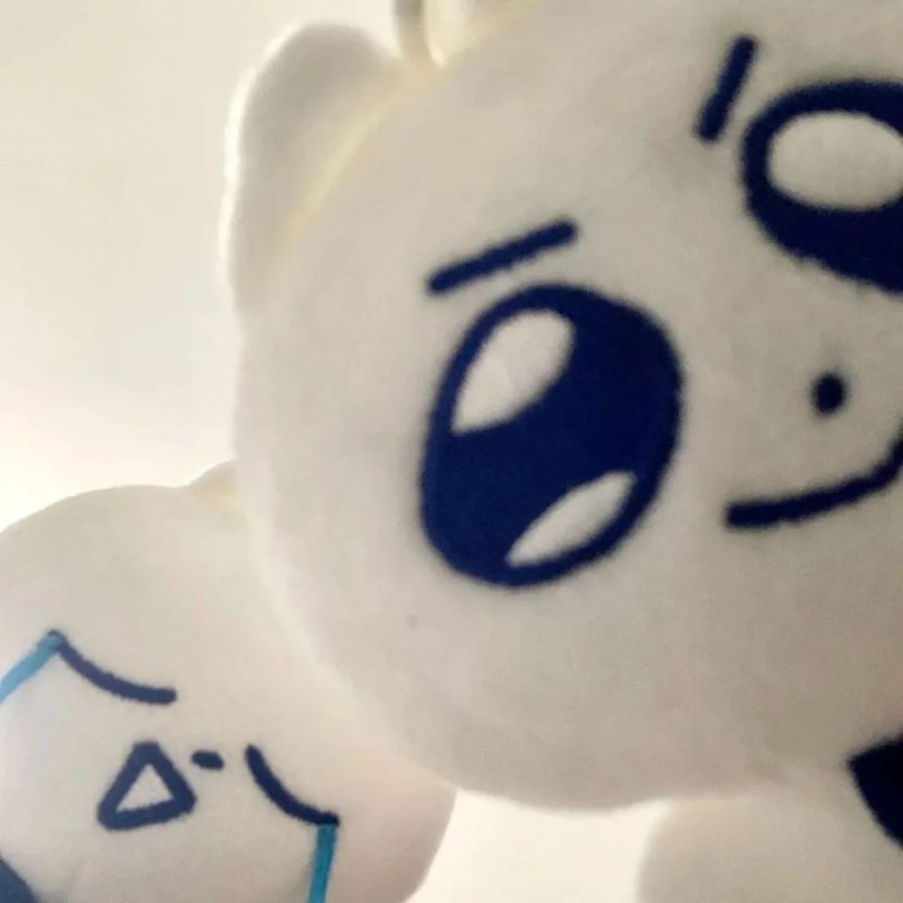 阳光狸猫