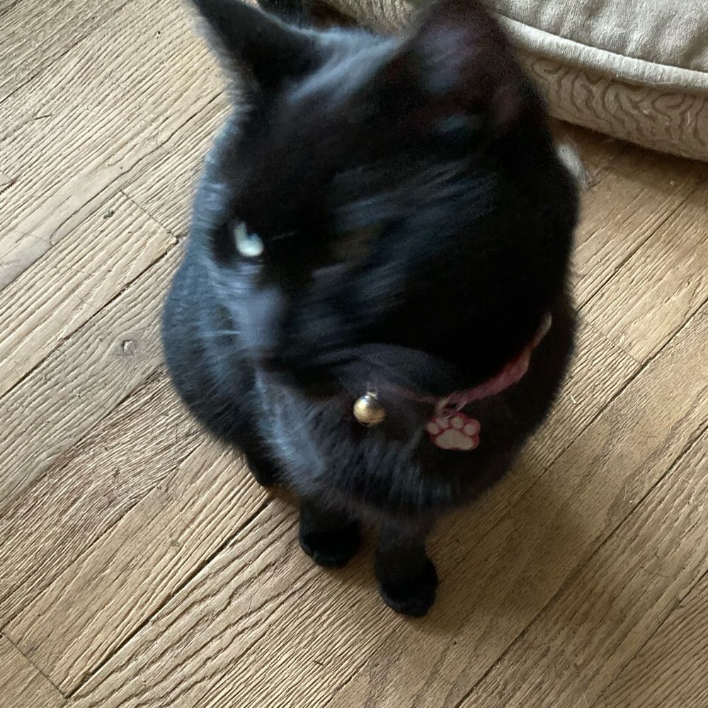 LKB