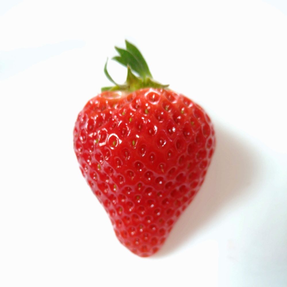 らび