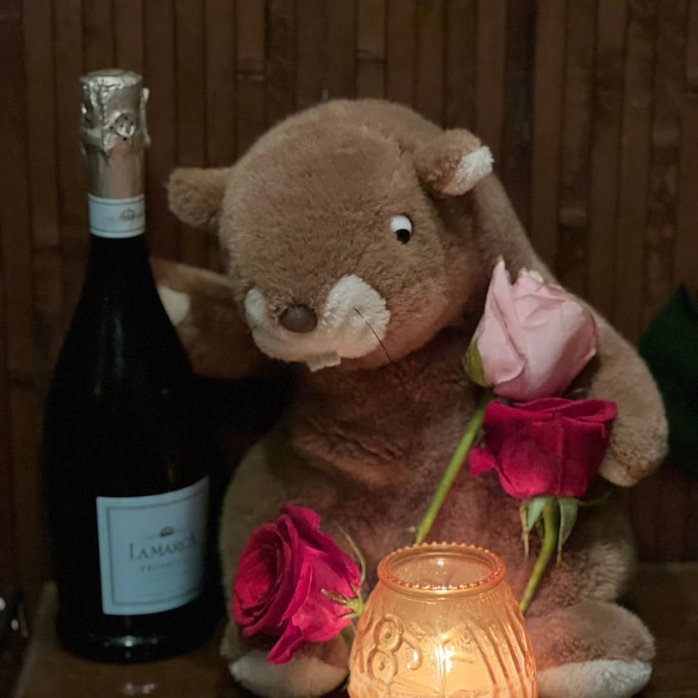 Tinder Beaver