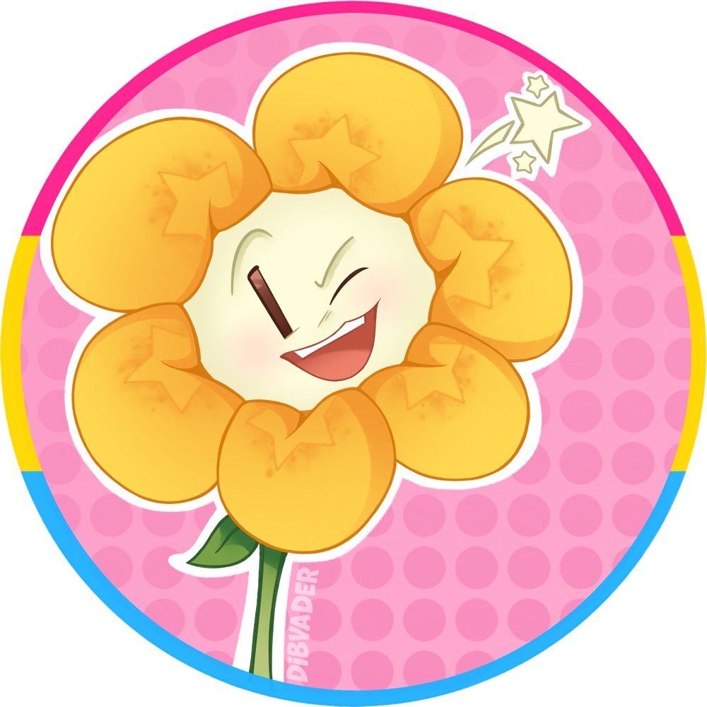 🌸 ZOE / RAD !! ‧₊˚✩