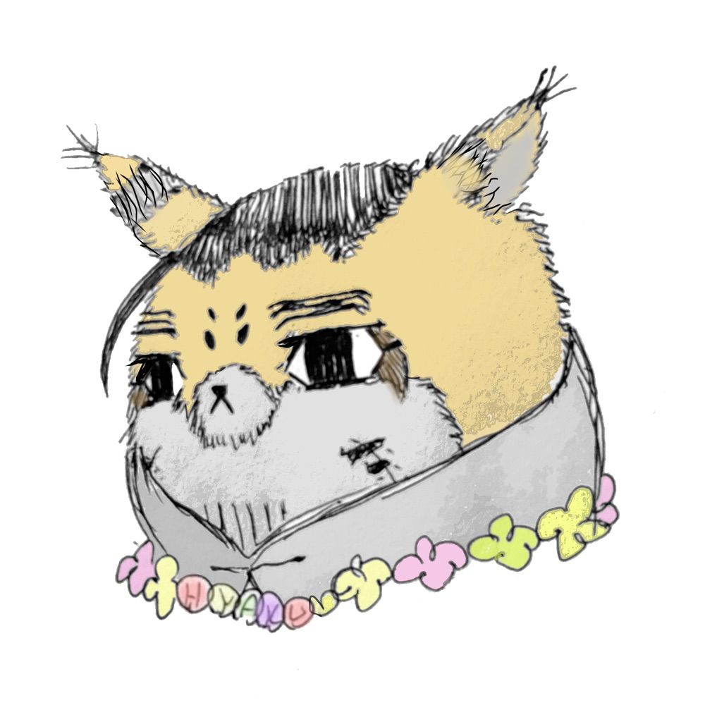 京斗