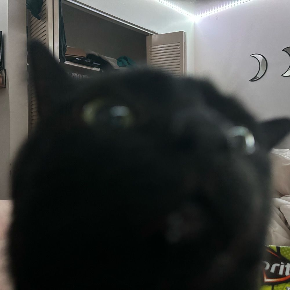 Kota