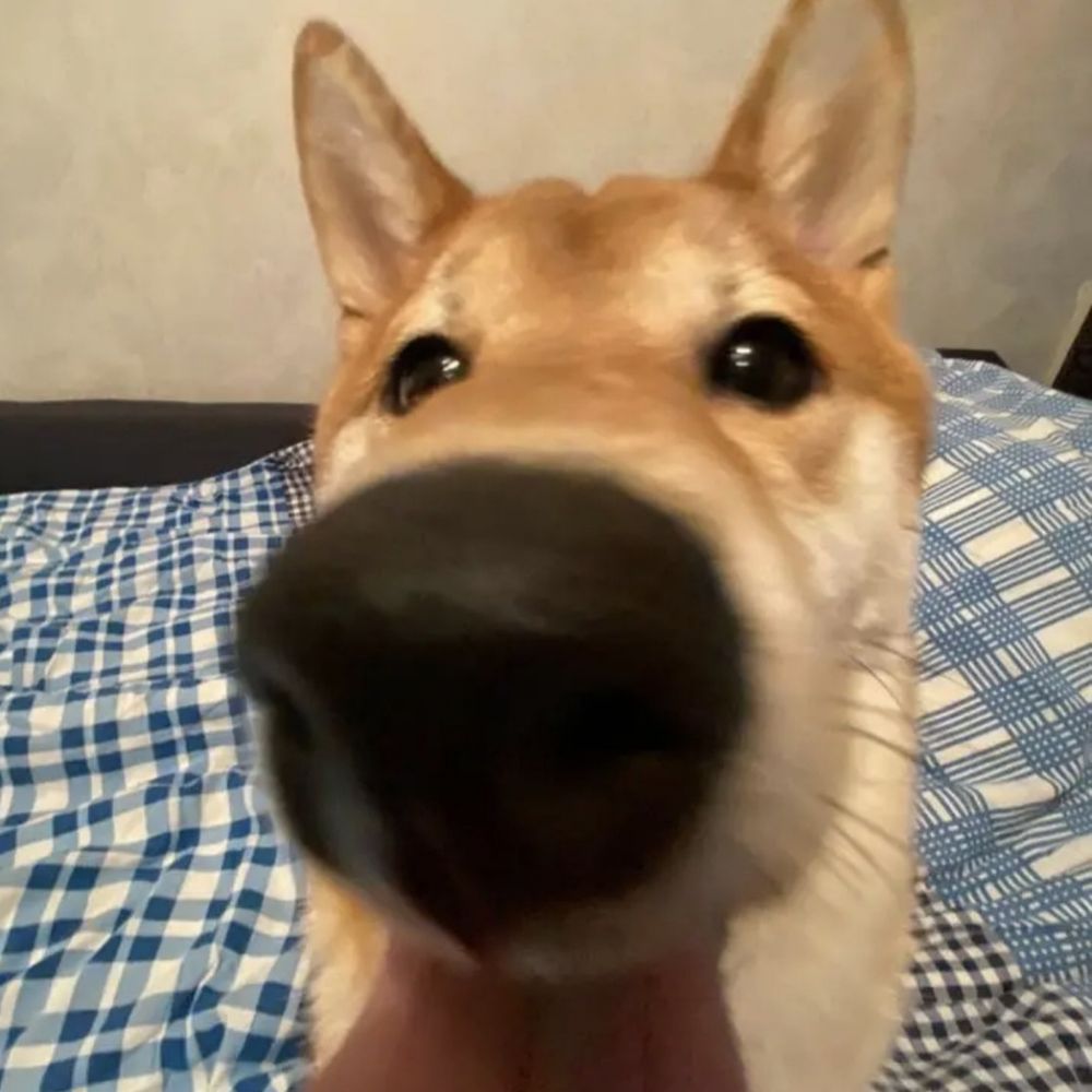 Jamesroar