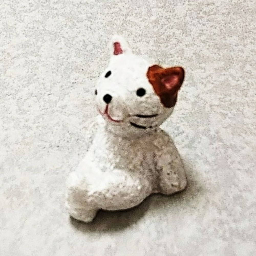 snow