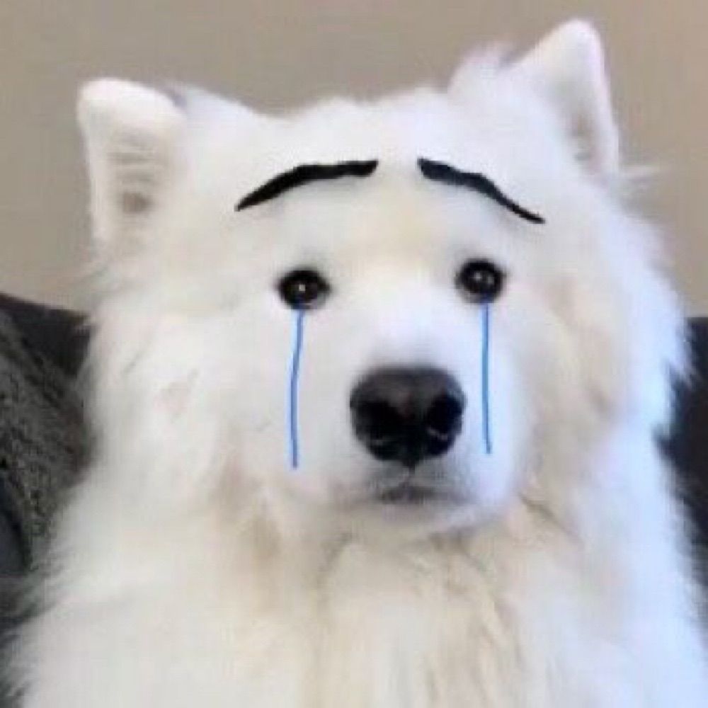 뱝
