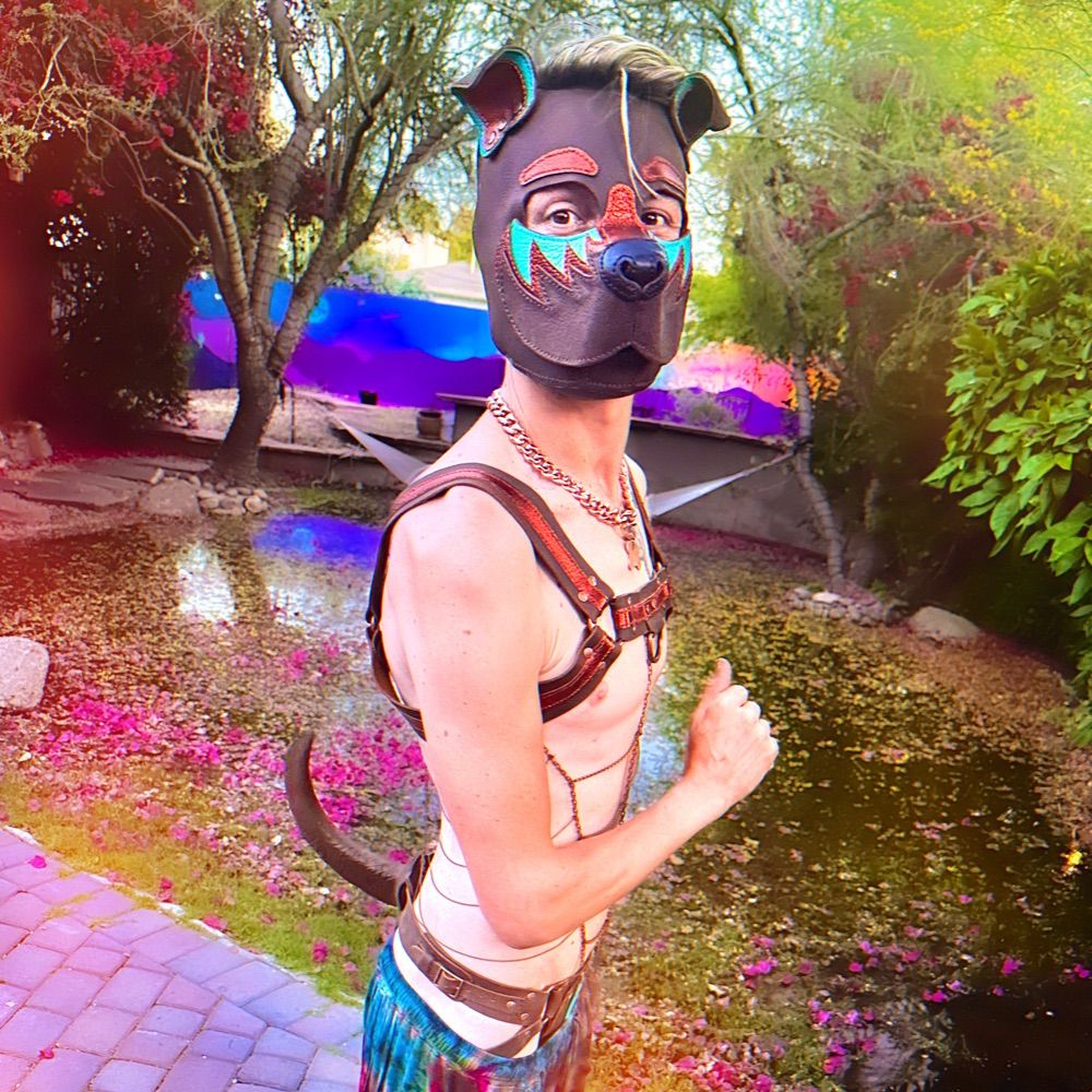 Pup Copper | AZ Alpha-Beta 2025