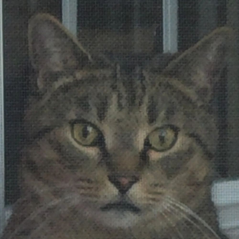 colin