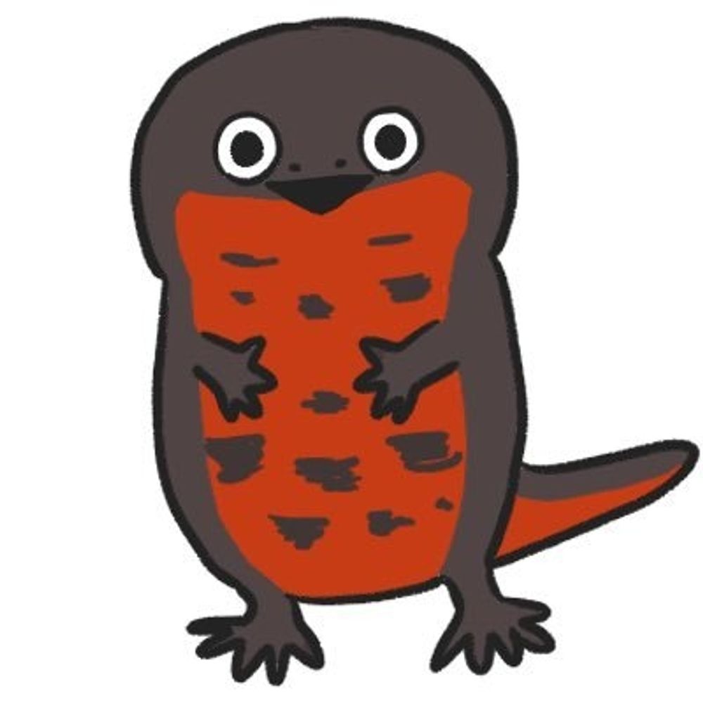 まちも