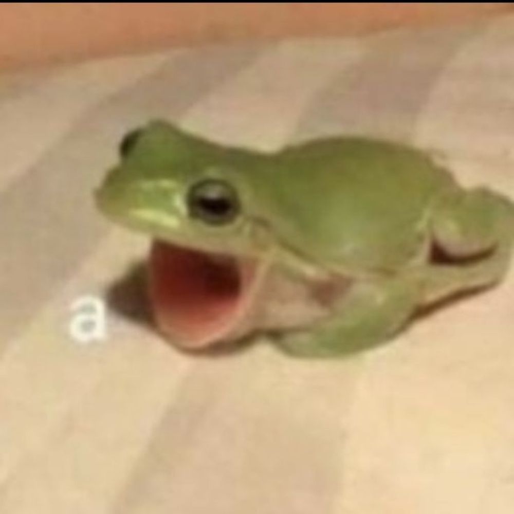 bug