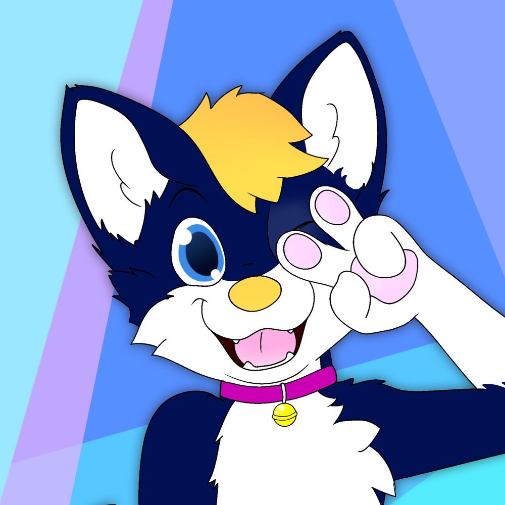 BitHusky