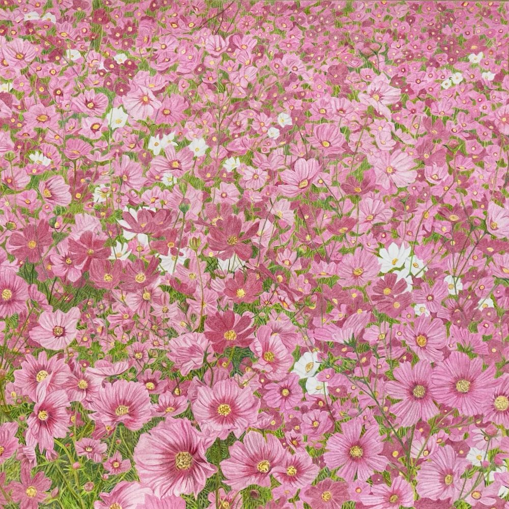 yotto's  gallery【 色鉛筆画家 】