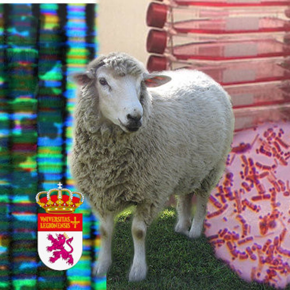 INDEGSAL, Instituto de Desarrollo Ganadero y Sanidad Animal