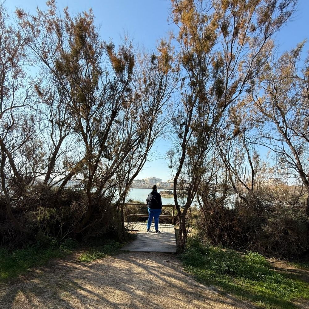Caminante del Multiverso