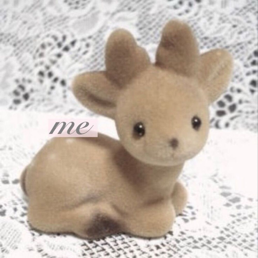 𝓥𝓪𝓵𝓮𝓷𝓽𝓲𝓷𝓮♡‧₊˚