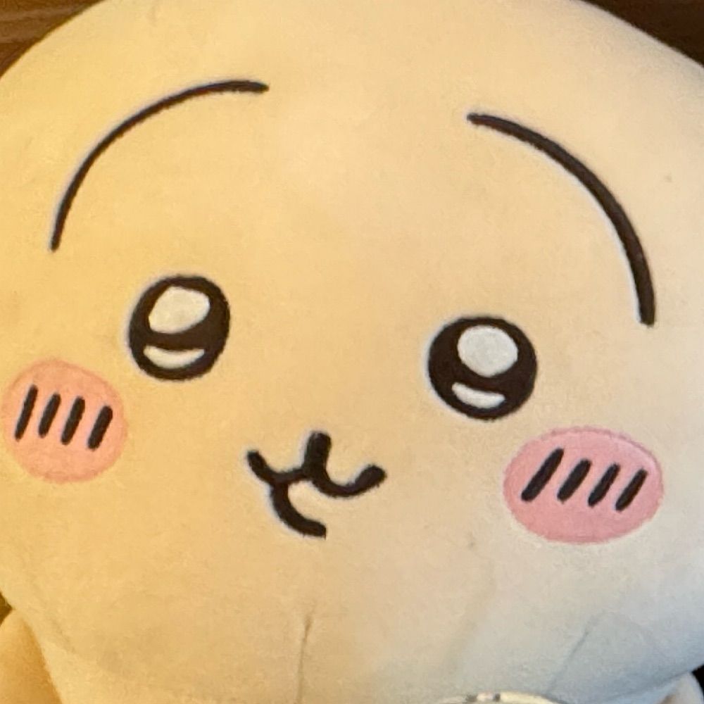 公主殿下