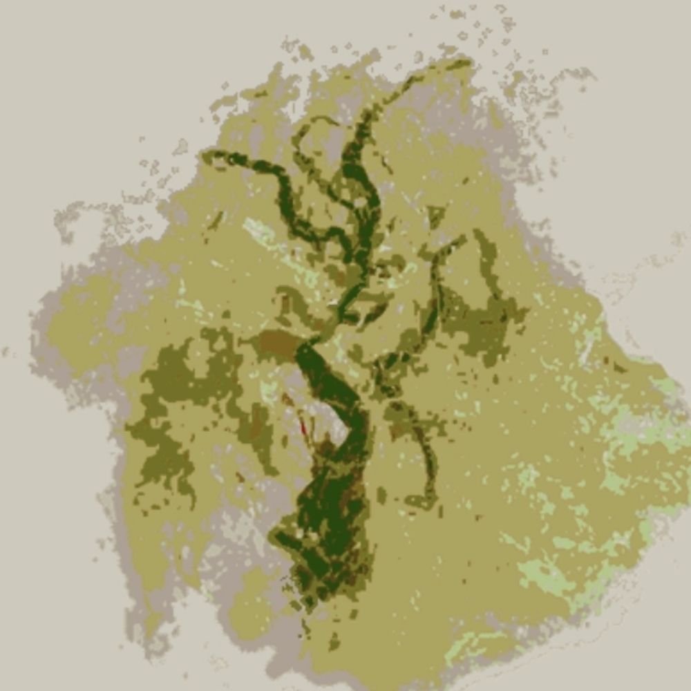 茕榕
