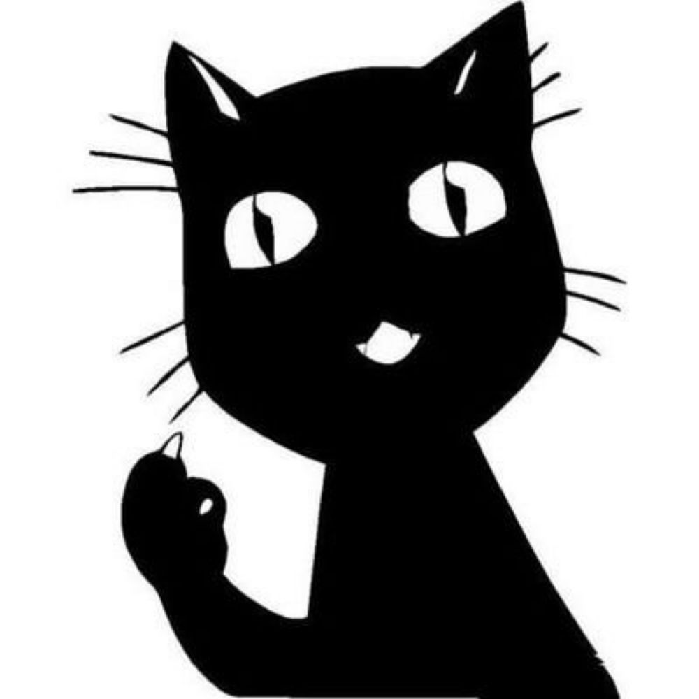Reflex 🐈‍⬛🖤 #MatNaVoz
