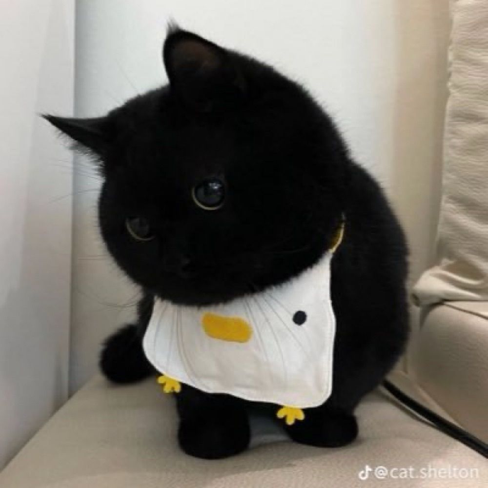 elffyMiya:3