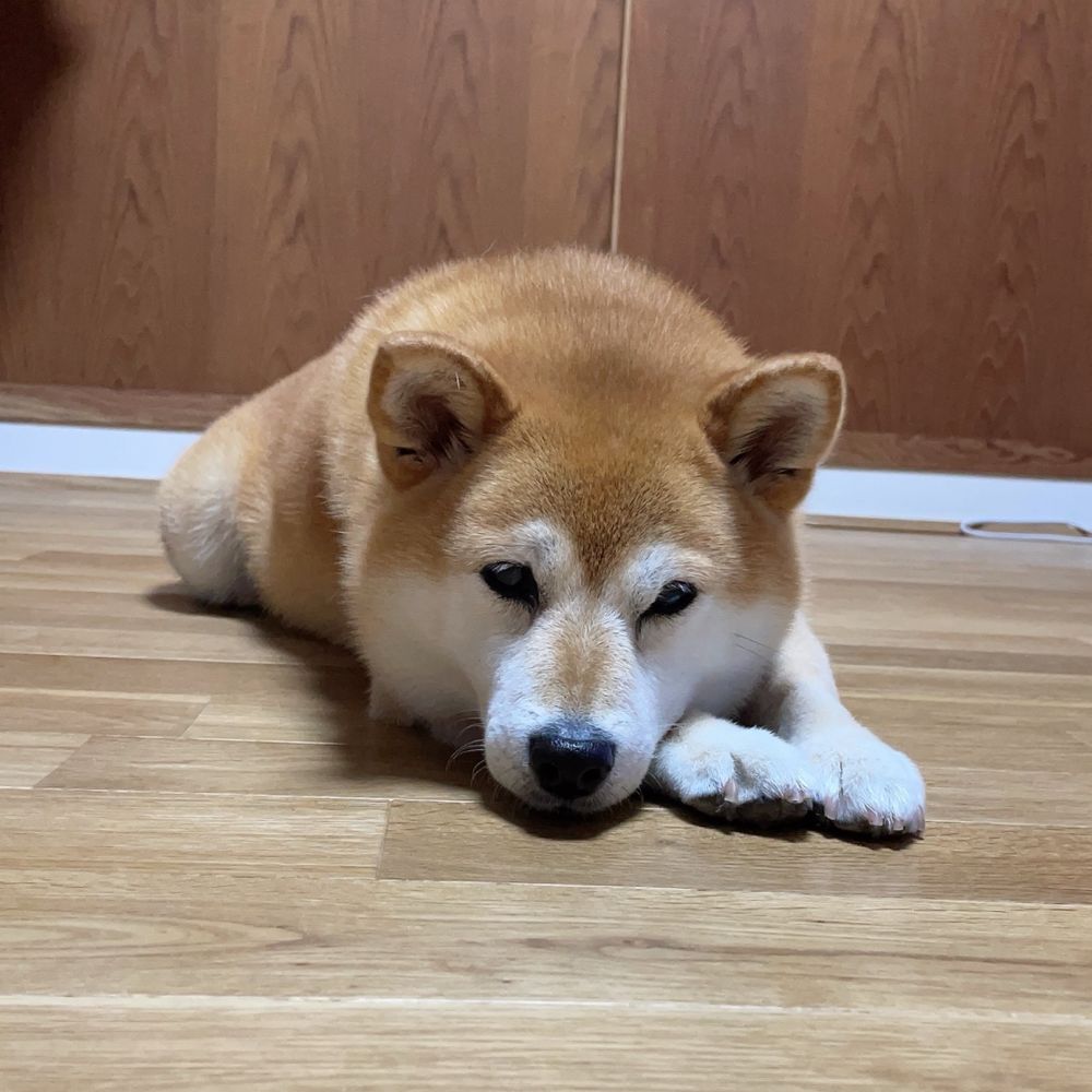 すのたろ