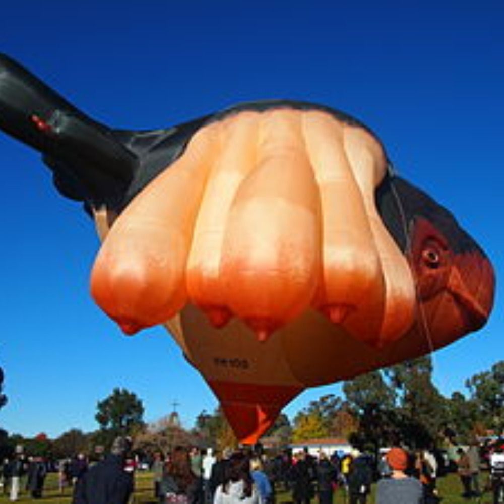 Skywhale FTW