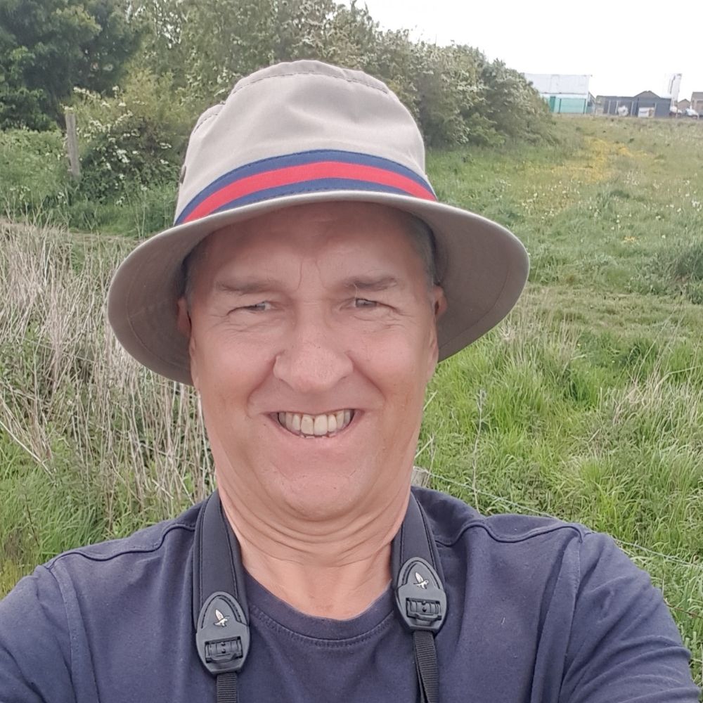 John Harwood