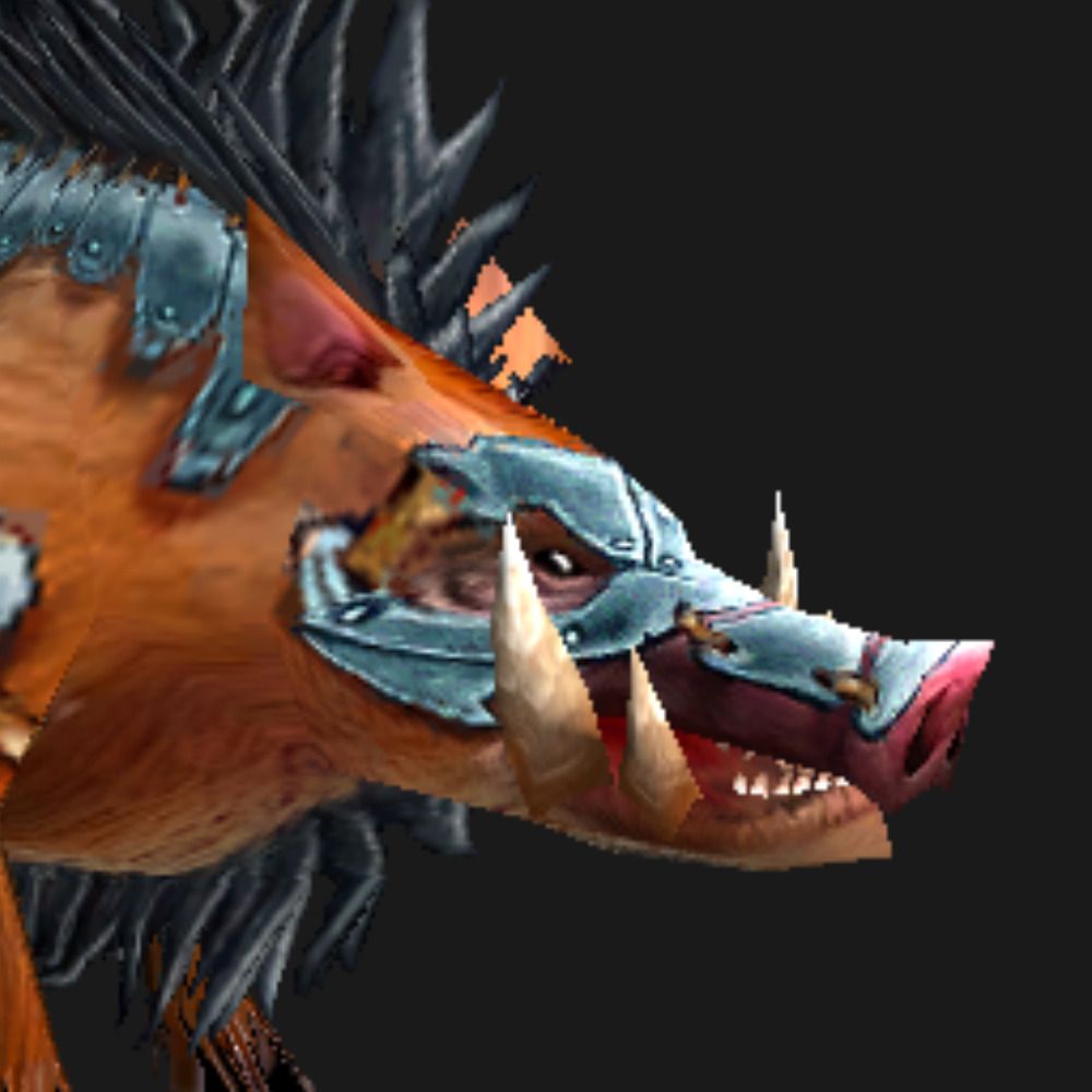 Zyngwin