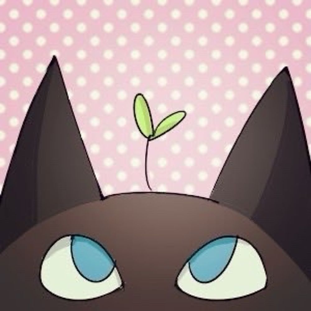むぎにゃんこ