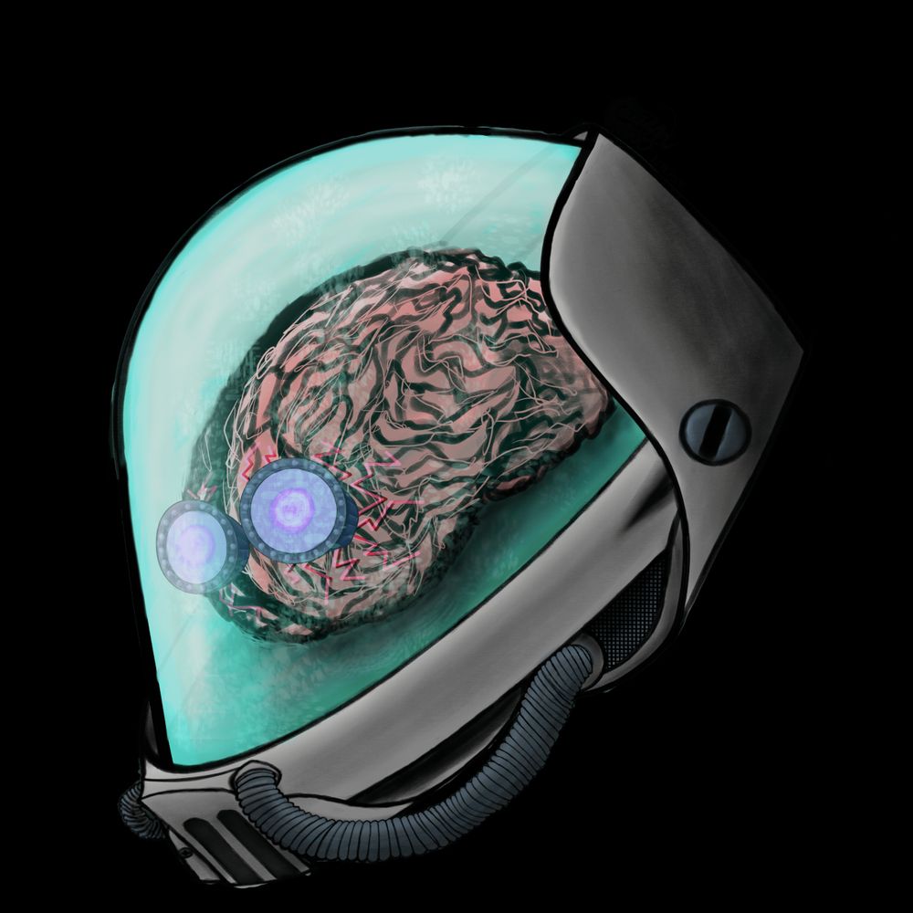 skanebrane.bsky.social profile picture
