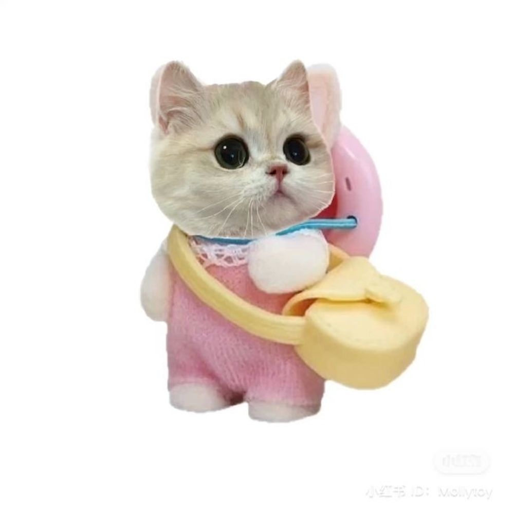 xinxin
