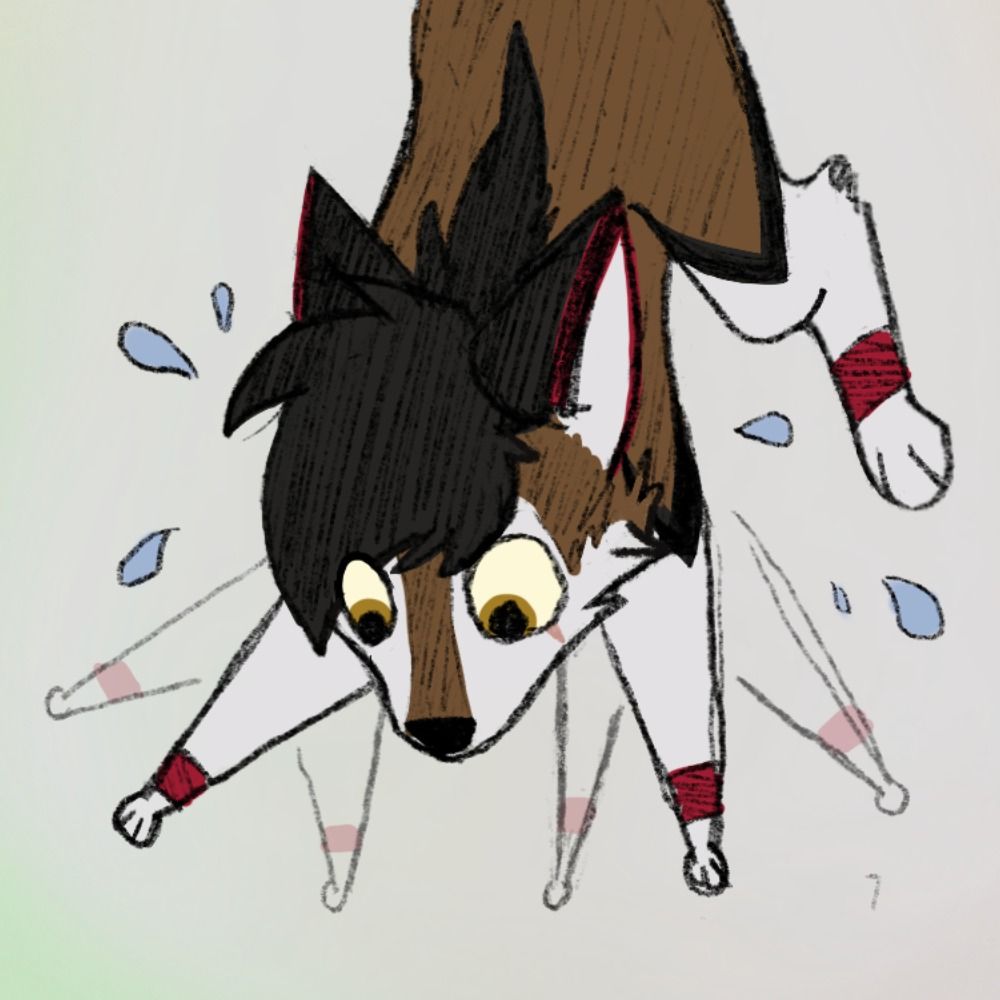 🐺Wuffball🏈